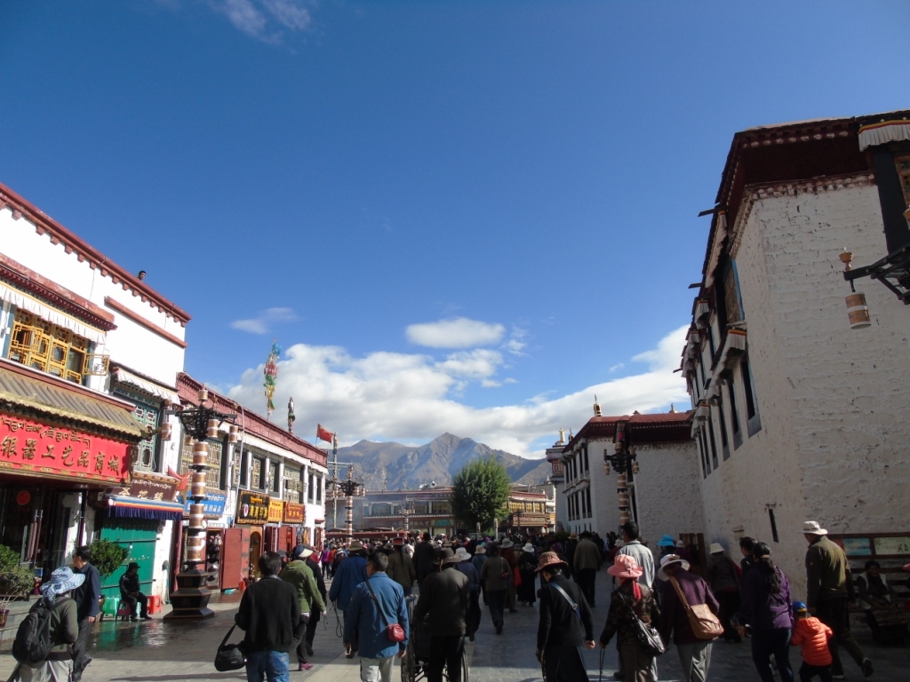 Cultural Tibet Tour